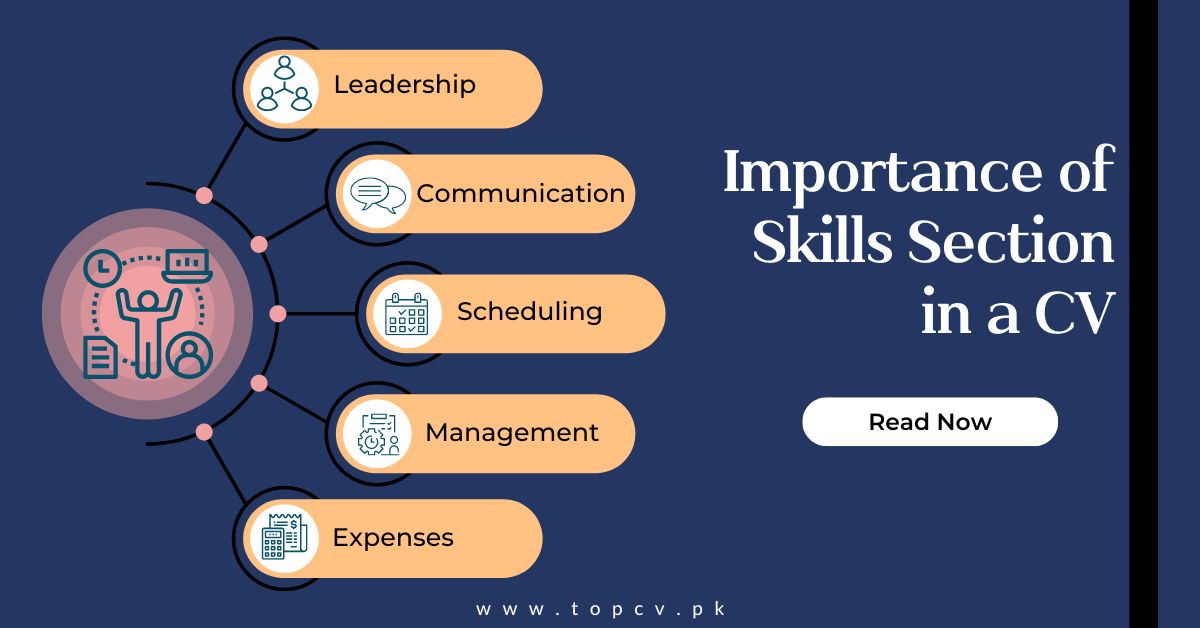 Importance-of-Skills-Section-in-a-CV